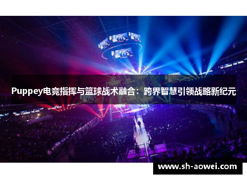 Puppey电竞指挥与篮球战术融合：跨界智慧引领战略新纪元