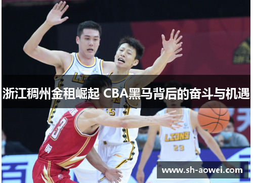 浙江稠州金租崛起 CBA黑马背后的奋斗与机遇